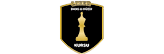 Lider Sanat Logo