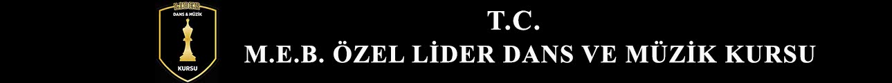 Lider Sanat Logo